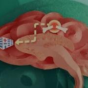 Susan S Brain The Science Of Addiction