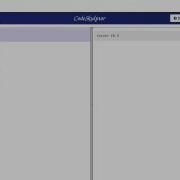 Python Programming Basics Local Vs Global Variables