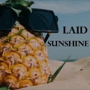 Laid Back Sunshine Reggae 4K HD