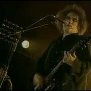 The Cure Never Enough Live 2005