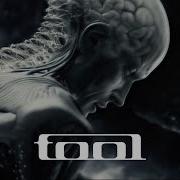 TOOL Pneuma Fan Tribute