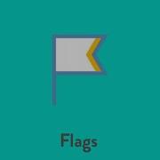 Using Flags To Make A Case For Overturning A Rejected Bug Report