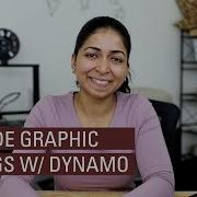 Override Graphic Settings With Dynamo BIM And Python