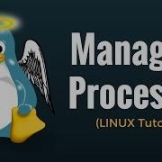 Process Management Commands Fg Bg Top Ps Kill Nice Renice Df Free Linux Tutorial