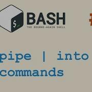 Ввод команд и чтение из STDIN 5 Практические советы по Bash