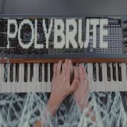 Arturia PolyBrute Analog Expressive Polyphonic Synthesizer Sounds