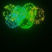Fireworks 3ds Max Mark Piatanesi