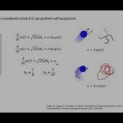 Simulation Of Complex Systems 2020 Class 7 Active Particles