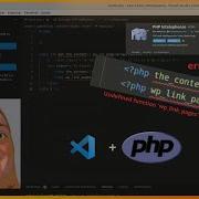 Fixing Undefined Function Error In VS Code While Using The PHP Intelephense For WP Development
