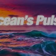 Avicii Kygo Calvin Harris Zedd Alesso Style Ocean S Pulse