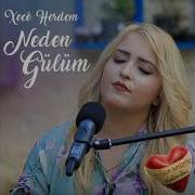 Xecê Herdem Neden Gülüm Akustik