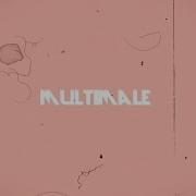 Multimale Collab
