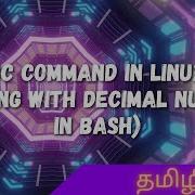 Bc Commend In Linux Working With Decimal Numbers In BASH