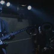 Дельфин Снег Live Ikra 16 12 2010 Dolphin Snow