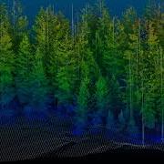 100m Plot Automated Tree Segmentation
