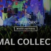 Animal Collective Monkey Riches Brother Sport Pitchfork Music Festival 2011