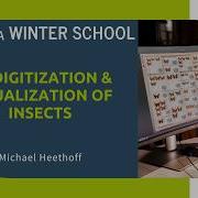 3D Digitization Visualization Of Insects