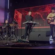 Дельфин QT 05 06 2025 VK GIPSY
