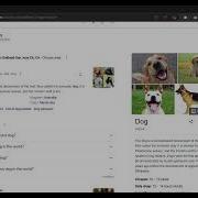 Project 0 Search CS50 S Web Programming With Python And JavaScript