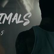 Maroon 5 Animals Lyrics