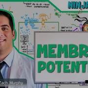 Neurology Resting Membrane Graded Action Potentials