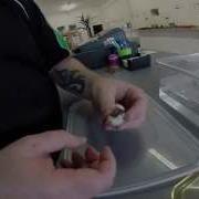 Childrens Python Egg Cutting