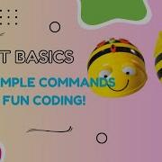 Beebot Basics Learn Simple Commands For Fun Coding