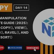 NumPy Array Manipulation ULTIMATE Guide 2025 Master Copy View Flatten Ravel Sort