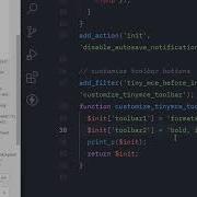 Mini Course Mastering WordPress Classic Editor Create Custom Buttons With TinyMCE