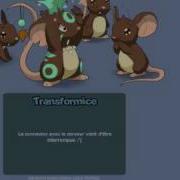 Cheat Transformice By Verification V2