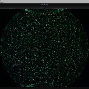 Unity Compute Shaders Experiments