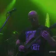 Brutal Assault 21 Dying Fetus From Womb To Waste Live 2016