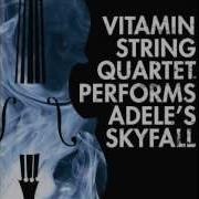 Vitamin String Quartet Performs Adele S Skyfall