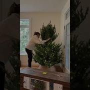 Realistic Artificial Christmas Trees Nowegian Pre Lit Tree Décors Véronneau
