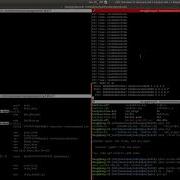 Dgos Kernel Module Debugging Demo