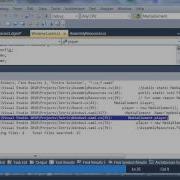 GCRootDemo Wmv