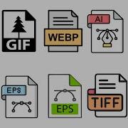Every Types Of Image Formats Explained Raster VS Vector