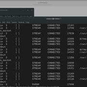 Perl 6 System Commands