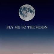 Fly Me To The Moon Climax Mix From Bayonetta Umbra Cover