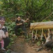 Skills In Setting Traps To Catch Wild Goats Farm Life SURVIVAL ALONE
