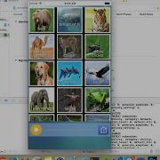 Part1 Rename An Xcode Project