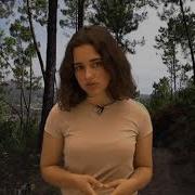 ProMEFT Modelling Forest Fires Using Cellular Automata Bárbara Teixeira De Sousa Coelho Da Mota