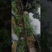 Monkey Jumping Slow Motion