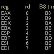 2 Handmade Linux X86 Executables Hello World