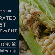 Introduction To Integrated Pest Management