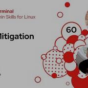 Security CVE Mitigation Into The Terminal 60