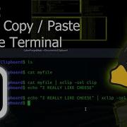 Как копировать вставлять с помощью терминала руководство по Linux