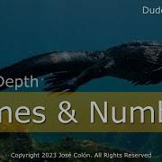 Zig In Depth Names Numbers