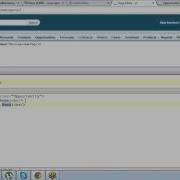 Displaying Single Record On Visualforce Page By Wikitrainings