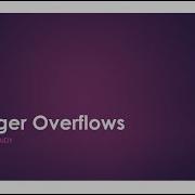 Integer Overflows